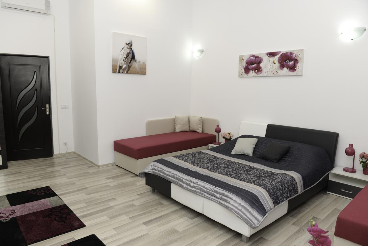 Modern Central-Near Unirii Square Διαμέρισμα Κλουζ-Ναπόκα Εξωτερικό φωτογραφία